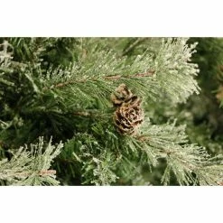 Fraser Hill Farm 9 ft. Buffalo Fir Slim Artificial Tree, FFBF090-3SN -Fraser Hill Farm Sales Store 1375815 A7