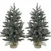 Fraser Hill Farm Set of Two 2 ft. Heritage Pine Trees, FFHP028-6GRB/SET2