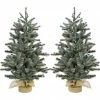 Fraser Hill Farm Set of Two 4 ft. Heritage Pine Trees, FFHP056-5GRB/SET2