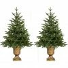 Fraser Hill Farm Set of Two 3 ft. Noble Fir Artificial Trees, FFNF042-0GR/SET2 1 Fraser Hill Farm Set of Two 3 ft. Noble Fir Artificial Trees, FFNF042-0GR/SET2 -Fraser Hill Farm Sales Store 1375873