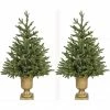 Fraser Hill Farm Set of Two 3 ft. Noble Fir Trees, FFNF042-6GRB/SET2 -Fraser Hill Farm Sales Store 1375877