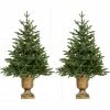 Fraser Hill Farm 2 4 ft. Noble Fir Artificial Trees, FFNF056-0GR/SET