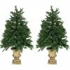 Fraser Hill Farm Set of Two 4 ft. Noble Fir Trees, FFNF056-5GRB/SET2 -Fraser Hill Farm Sales Store 1375881