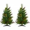 Fraser Hill Farm Set of Two 3 ft. Artificial Trees, FFNP042-6GRB/SET2