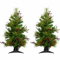 Fraser Hill Farm Set of Two 4 ft. Newberry Artificial Trees, FFNP056-5GRB/SET2