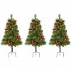 Fraser Hill Farm 2.5 ft. Joyful Walkway Trees, Warm White LED Lights, Pinecones Berries and Ornaments, Set of 3, FFJFTR030-5GR1