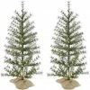 Fraser Hill Farm 3 ft. Farmhouse Fir Christmas Trees with Burlap Bag and Warm White LED Lights, Set of 2, FFFF036-5GR/S2