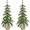 Fraser Hill Farm 3 ft. Downswept Farmhouse Fir Christmas Trees with Burlap Bag, Warm White LED Lights, Set of 2, FFFF036-5GR1/S2 -Fraser Hill Farm Sales Store 1857647
