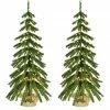 Fraser Hill Farm 4 ft. Downswept Farmhouse Fir Christmas Trees with Burlap Bag, Warm White LED Lights, Set of 2, FFFF048-5GR1/S2 -Fraser Hill Farm Sales Store 1857651
