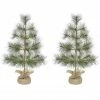 Fraser Hill Farm 6.5 ft. Flocked Silverton Fir Christmas Tree with Clear LED String Lighting, FFSF065-5SN